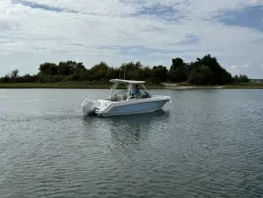 Thumbnail von Boston Whaler 240 Vantage