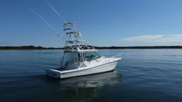 Thumbnail von Topaz 40 Express Offshore Office