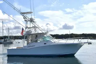 Thumbnail von Cabo 31 Express Legacy