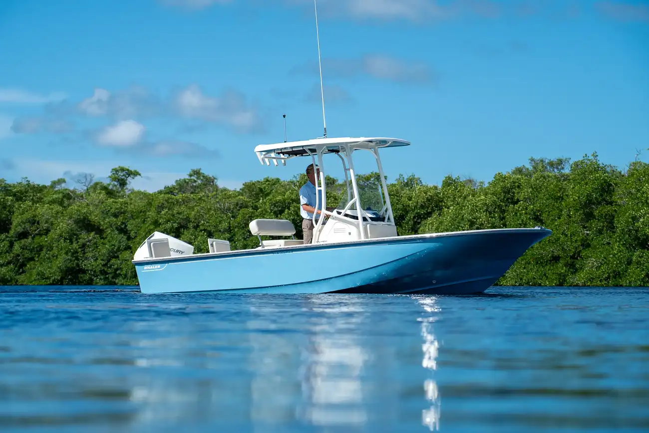 Boston Whaler 210 Montauk