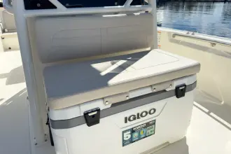 Thumbnail von Boston Whaler 210 Montauk