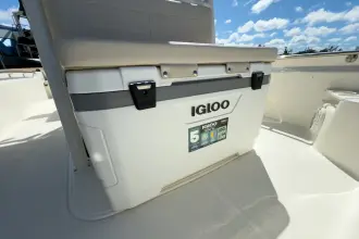 Thumbnail von Boston Whaler 210 Montauk