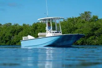 Thumbnail von Boston Whaler 210 Montauk