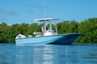 Thumbnail von Boston Whaler 210 Montauk