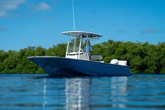 Thumbnail von Boston Whaler 210 Montauk