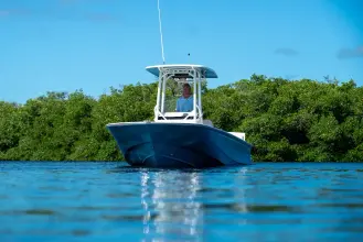 Thumbnail von Boston Whaler 210 Montauk