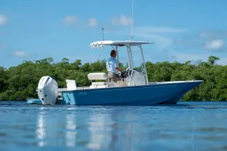 Thumbnail von Boston Whaler 210 Montauk