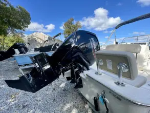 Thumbnail von Boston Whaler 170 Montauk