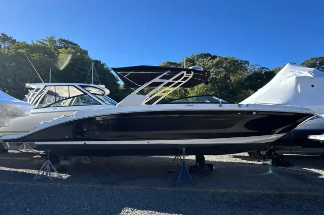 Sea Ray SDX 290 