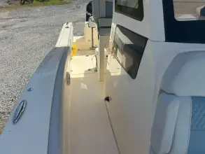 Thumbnail von Scout 260 LXF