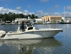 Thumbnail von Scout 260 LXF