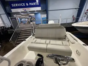 Thumbnail von Boston Whaler 250 Dauntless