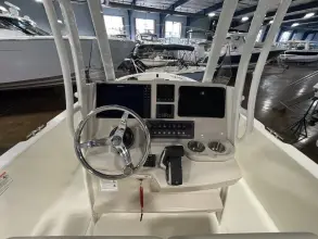 Thumbnail von Boston Whaler 250 Dauntless