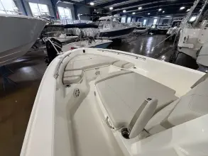 Thumbnail von Boston Whaler 250 Dauntless