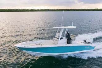 Thumbnail von Boston Whaler 250 Dauntless