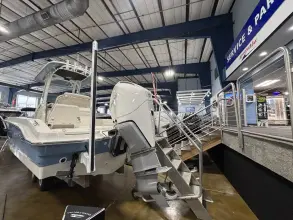 Thumbnail von Boston Whaler 250 Dauntless