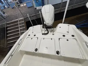 Thumbnail von Boston Whaler 250 Dauntless