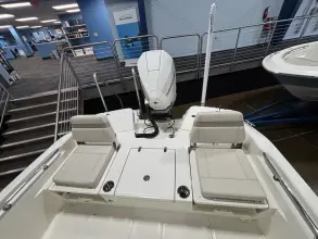 Thumbnail von Boston Whaler 250 Dauntless