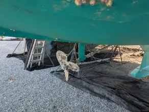 Thumbnail von Tartan 4100 Celebration