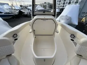 Thumbnail von Scout 215 XSF