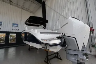 Thumbnail von Sea Ray SDX 290 Außenborder