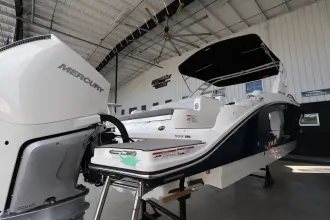 Thumbnail von Sea Ray SDX 290 Außenborder