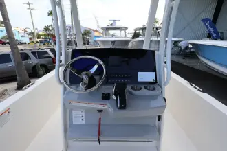 Thumbnail von Boston Whaler 250 Dauntless