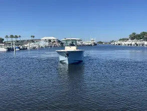 Thumbnail von Grady White 306 Canyon