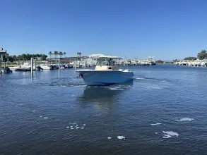 Thumbnail von Grady White 306 Canyon