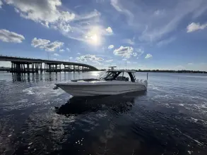 Thumbnail von Boston Whaler 380 Realm