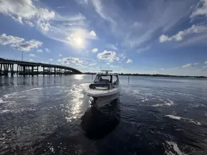 Thumbnail von Boston Whaler 380 Realm