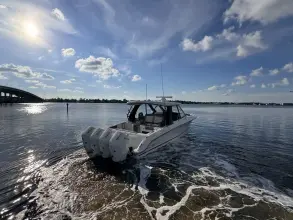 Thumbnail von Boston Whaler 380 Realm