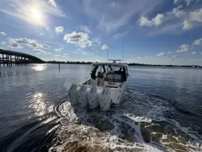 Thumbnail von Boston Whaler 380 Realm