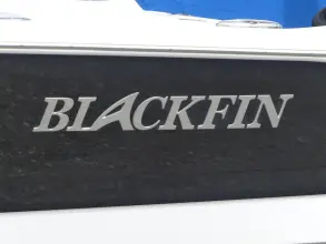 Thumbnail von Blackfin 242HB