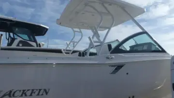 Thumbnail von Blackfin 252 DC