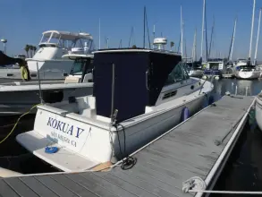 Thumbnail von Back Cove 29