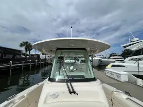 Thumbnail von Grady White Canyon 271