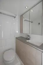 Thumbnail von Leopard 50