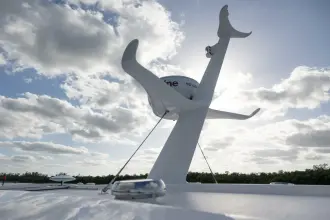 Thumbnail von Hylas M49