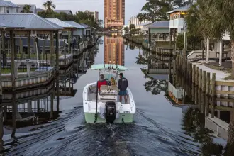 Thumbnail von Sea Pro Boats 242 CC DLX