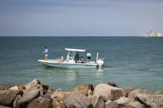 Thumbnail von Sea Pro Boats 250 DLX Bay