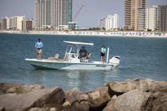 Thumbnail von Sea Pro Boats 250 DLX Bay