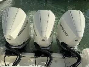 Thumbnail von Boston Whaler 350 Realm