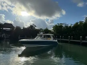 Thumbnail von Boston Whaler 350 Realm