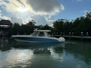 Thumbnail von Boston Whaler 350 Realm