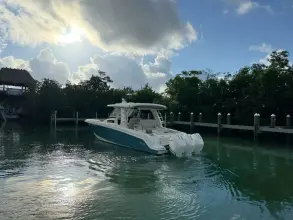 Thumbnail von Boston Whaler 350 Realm