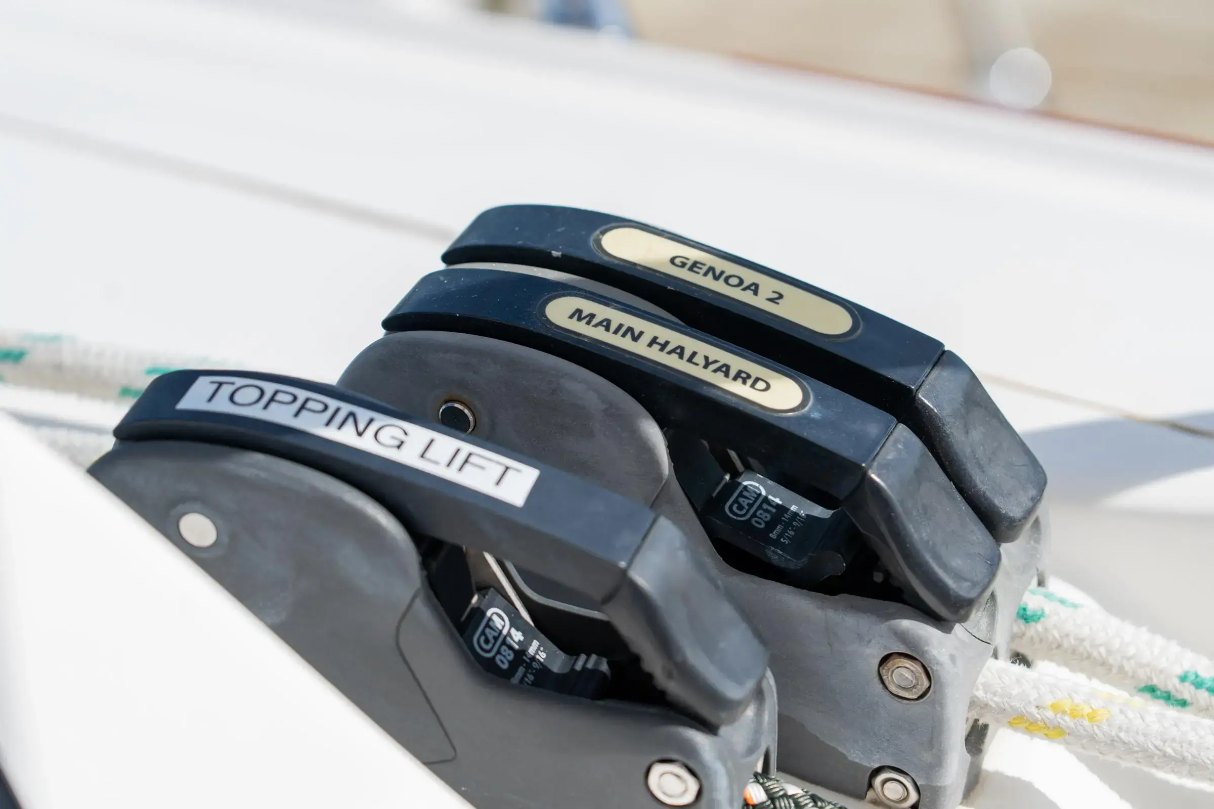 Thumbnail von Leopard 44 Playtime