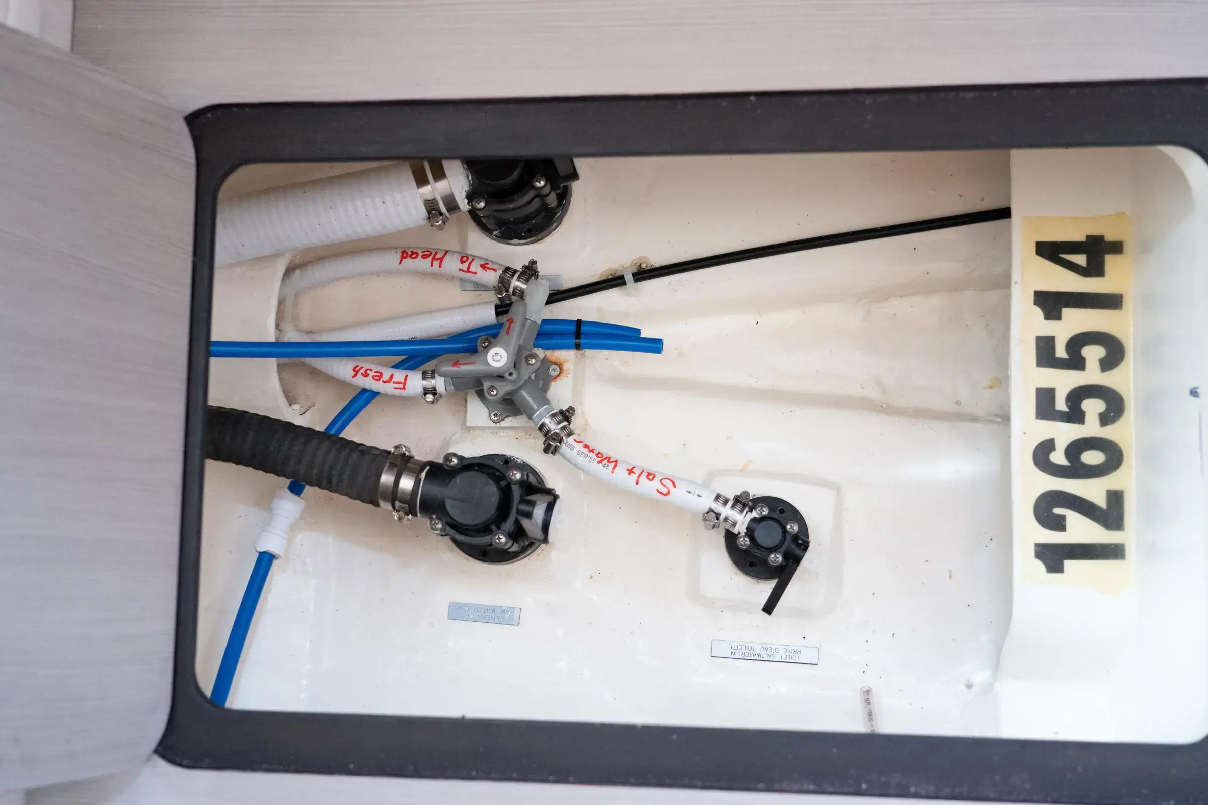 Thumbnail von Leopard 44 Playtime