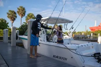 Thumbnail von Blackfin 272 DC