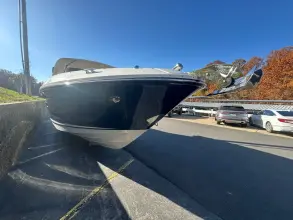 Thumbnail von Sea Ray SLX 350